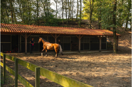  Overnachten met je paard in de Maashorst VMP102
